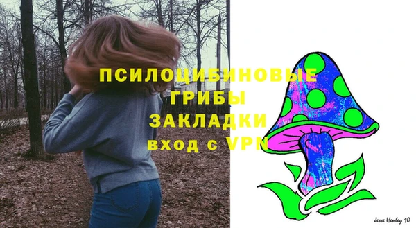 дмт Белокуриха