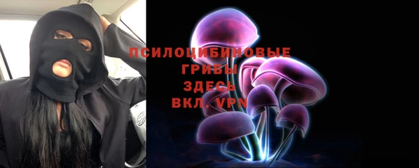 дмт Белокуриха