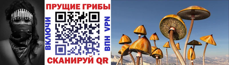 Псилоцибиновые грибы ЛСД  MEGA зеркало  Навашино 